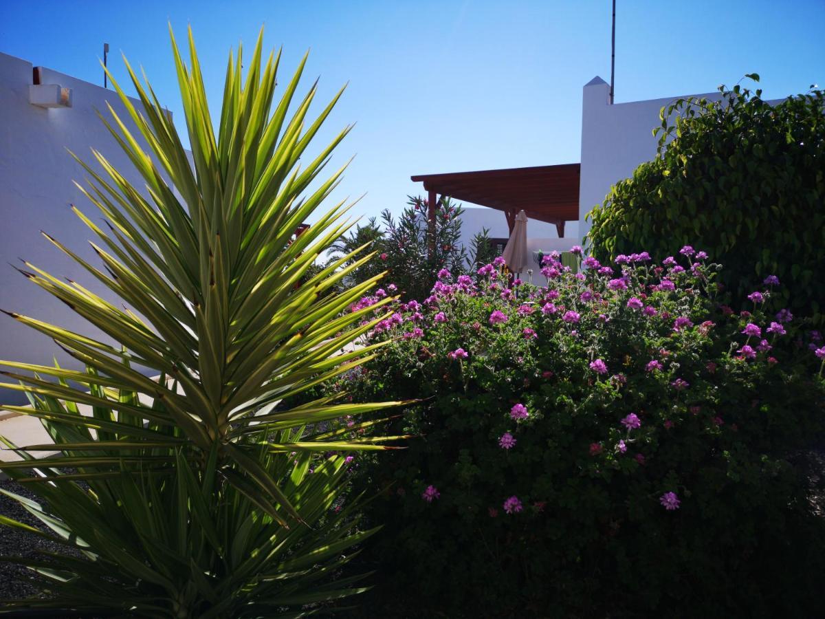Bungalow Tranquillo E Soleggiato Caleta De Fuste Εξωτερικό φωτογραφία